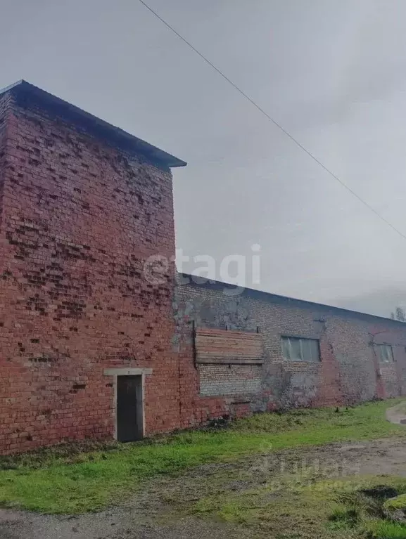Склад в Псковская область, Печоры ул. Мелиораторов, 11 (446 м) - Фото 1