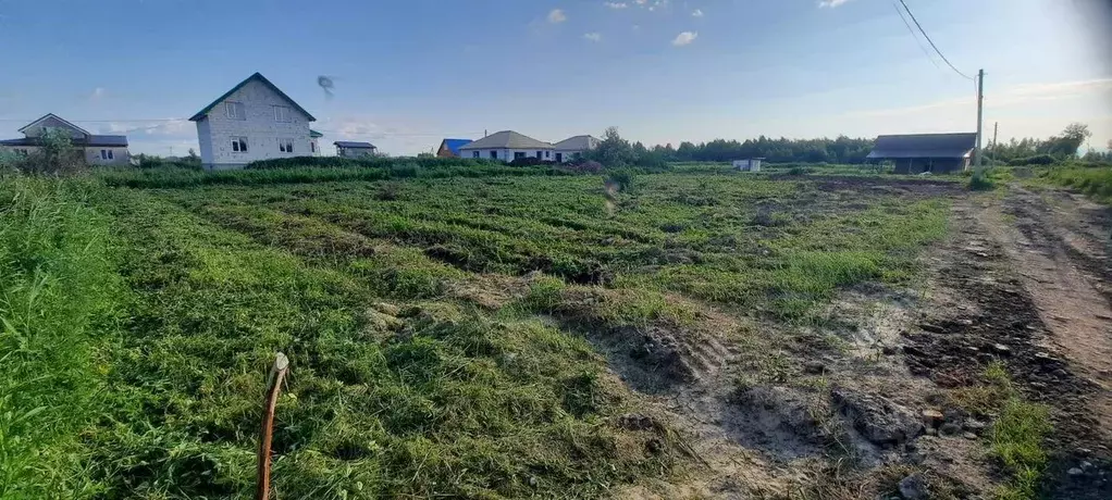 Участок в Тюменская область, Тюмень Царево садовое товарищество, 698 ... - Фото 0