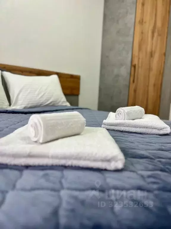 1-к кв. Новосибирская область, Обь Октябрьская ул., 5 (42.0 м) - Фото 2