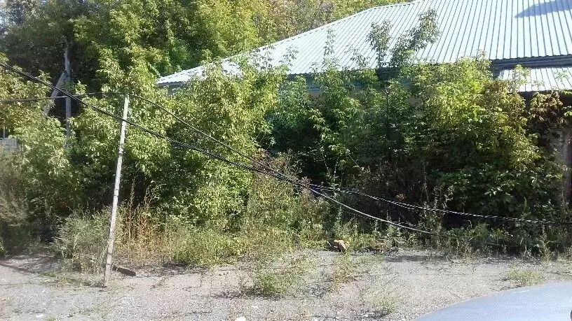 Помещение свободного назначения в Омская область, Омск Московка мкр, ... - Фото 1