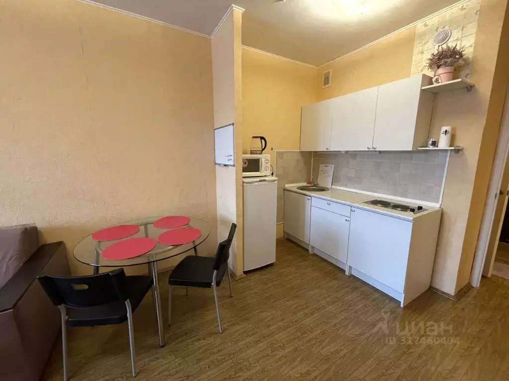 Студия Санкт-Петербург Пулковская ул., 8К3 (24.9 м) - Фото 0