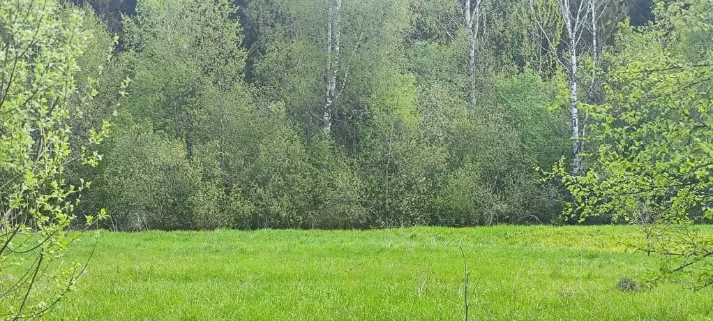 Участок в Московская область, Солнечногорск городской округ, д. Мостки ... - Фото 0