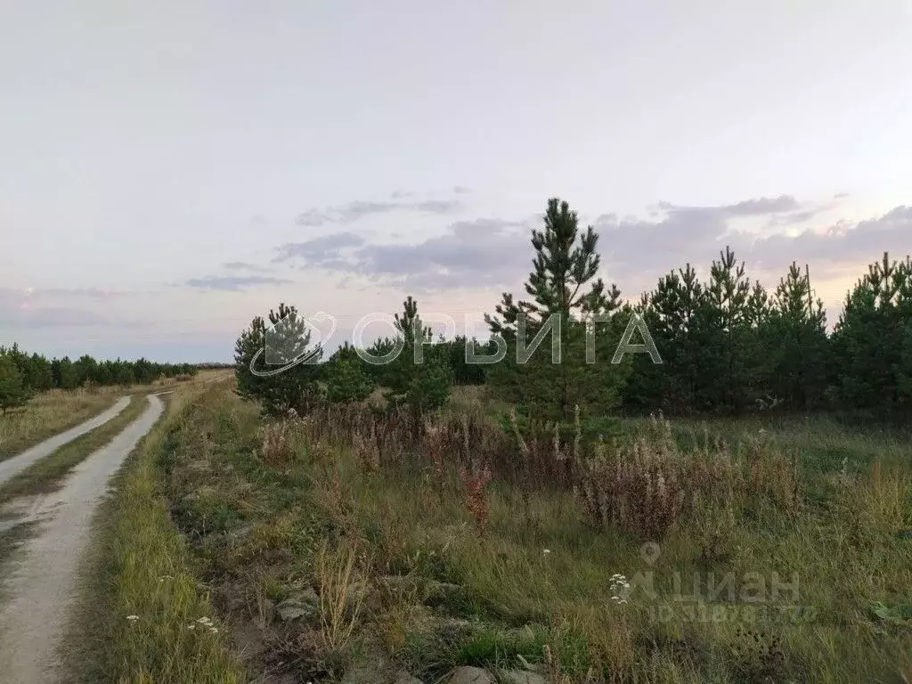 Участок в Свердловская область, Слободо-Туринский район, ... - Фото 1