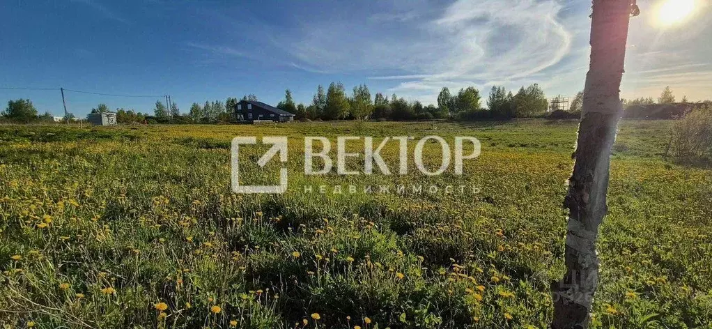 Участок в Ивановская область, Иваново ул. Совхоз ОРС (10.8 сот.) - Фото 2