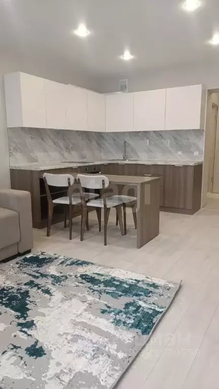 Студия Амурская область, Благовещенский район, с. Чигири Восточная ... - Фото 1