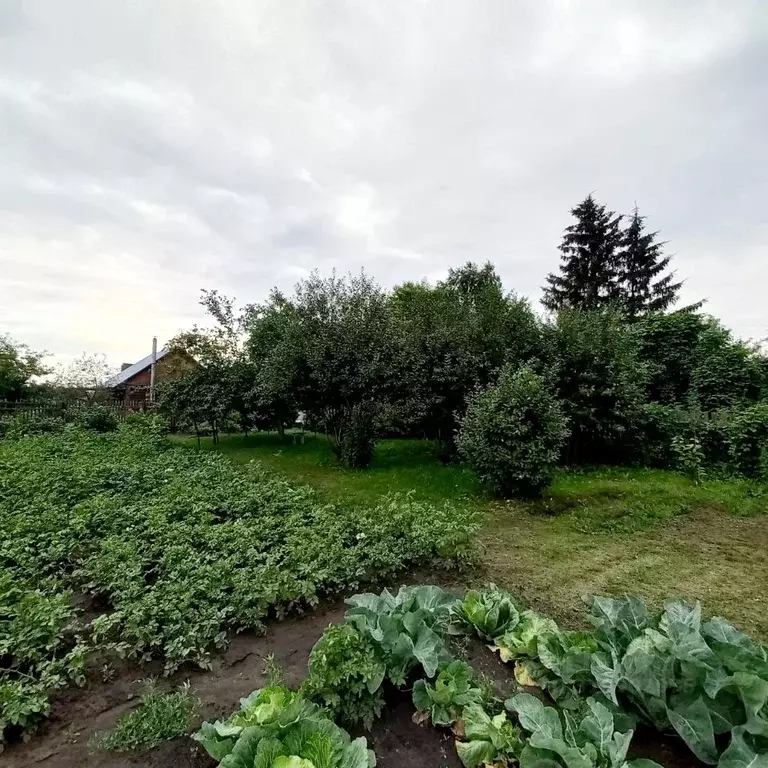 Дом в Омская область, Омск СОСН Птицевод-2 тер.,  (10 м) - Фото 1