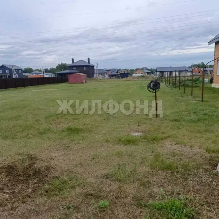 Участок в Новосибирская область, Новосибирский район, Морской ... - Фото 1