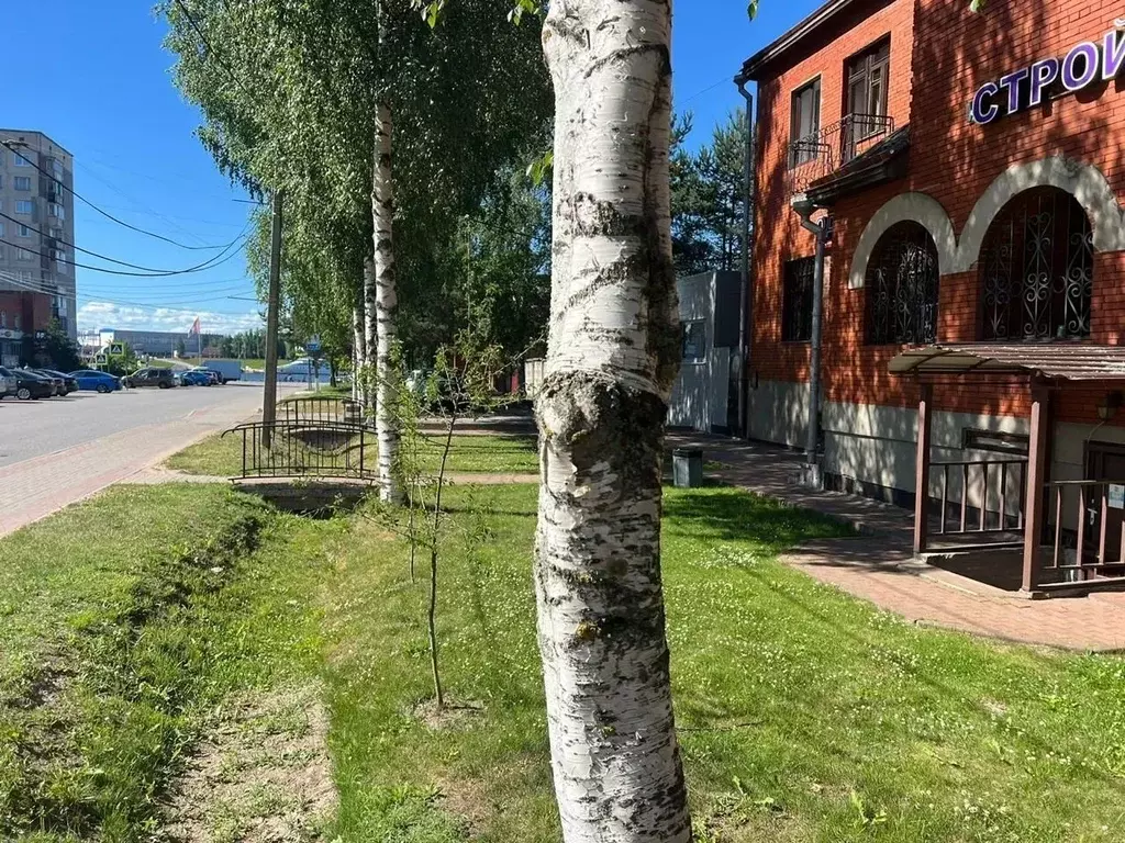Помещение свободного назначения в Ленинградская область, Всеволожский ... - Фото 2
