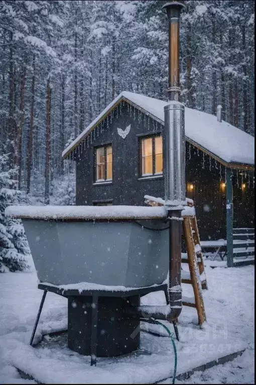 Дом в Нижегородская область, Арзамас  (78 м) - Фото 1