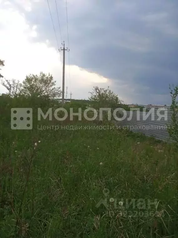 Участок в Амурская область, Серышевский муниципальный округ, с. ... - Фото 2