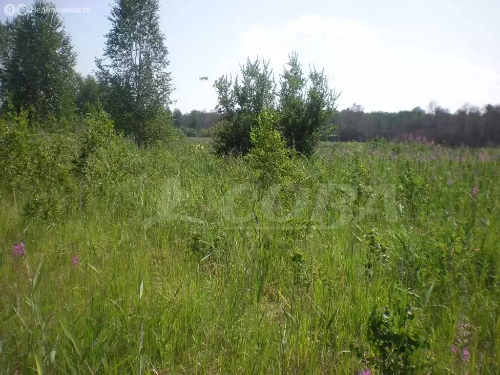 Участок в Свердловская область, Тугулымский муниципальный округ, ... - Фото 2