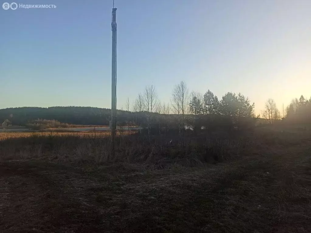 Участок в посёлок Зайцево, Лесная улица (22 м) - Фото 2