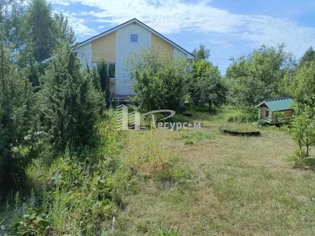 Дом в Нижегородская область, Выкса городской округ, с. Борковка проезд ... - Фото 1