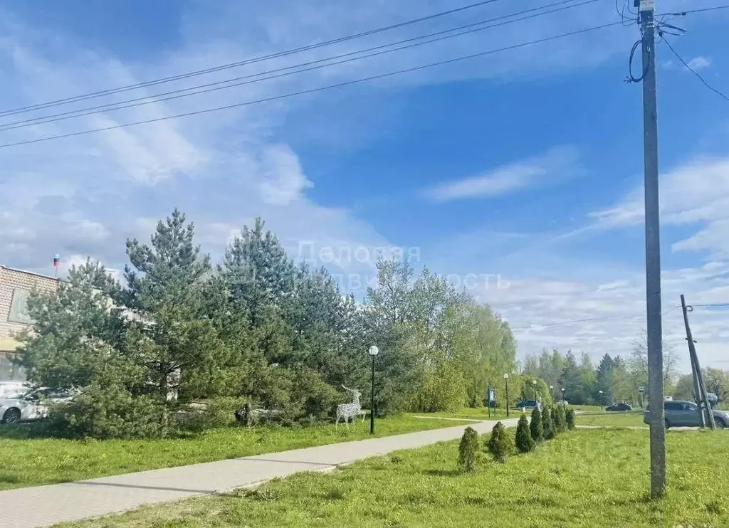 Дом в Новгородская область, Новгородский район, д. Савино Школьная ... - Фото 1