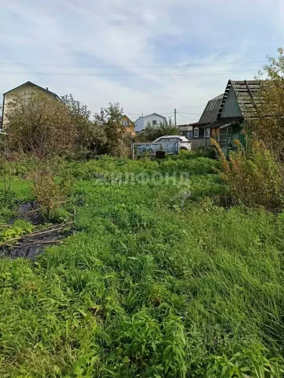 Участок в Томская область, Томск Коммунальщик СНТ, ул. Цветочная (3.97 ... - Фото 0