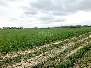 Участок в Ярославская область, Некрасовский муниципальный округ, с. ... - Фото 1