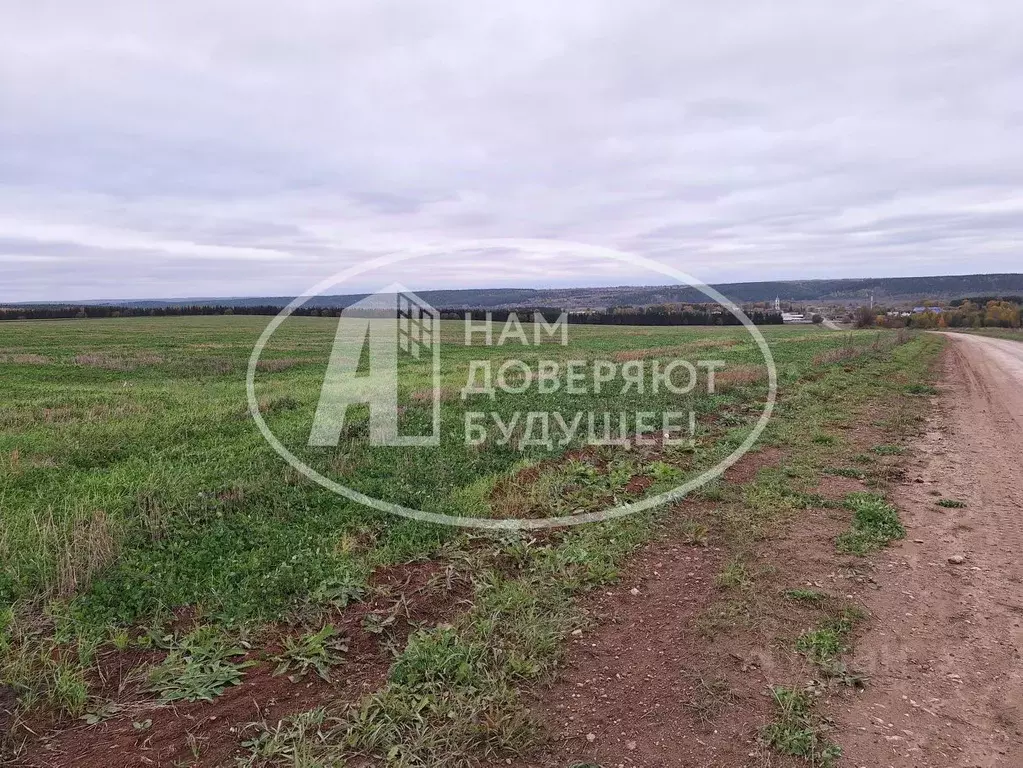 Участок в Пермский край, Кунгурский муниципальный округ, с. Неволино ... - Фото 2