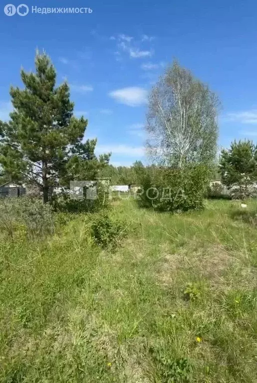 Участок в Бердск, СНТ Орбита, 3-я улица, 86 (13 м) - Фото 1