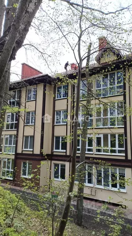 1-к кв. Калининградская область, Светлогорск Железнодорожный пер., 11 ... - Фото 1