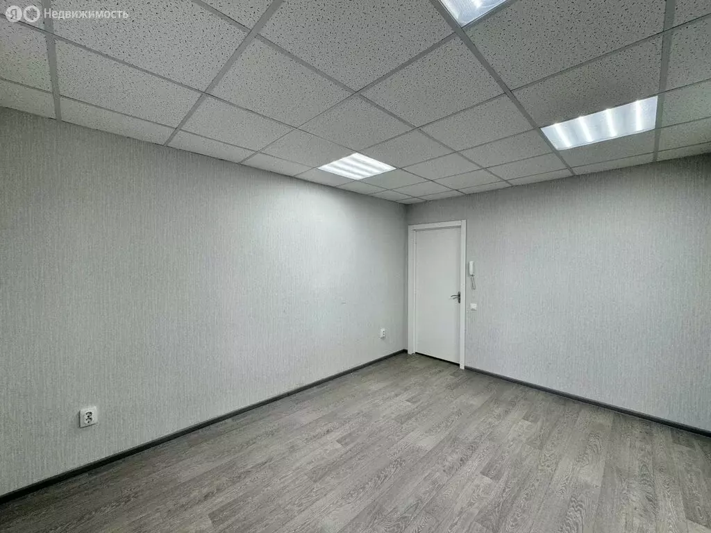 Помещение свободного назначения (278 м) - Фото 2