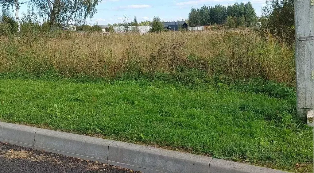 Участок в Ленинградская область, Ломоносовский район, Пениковское ... - Фото 2