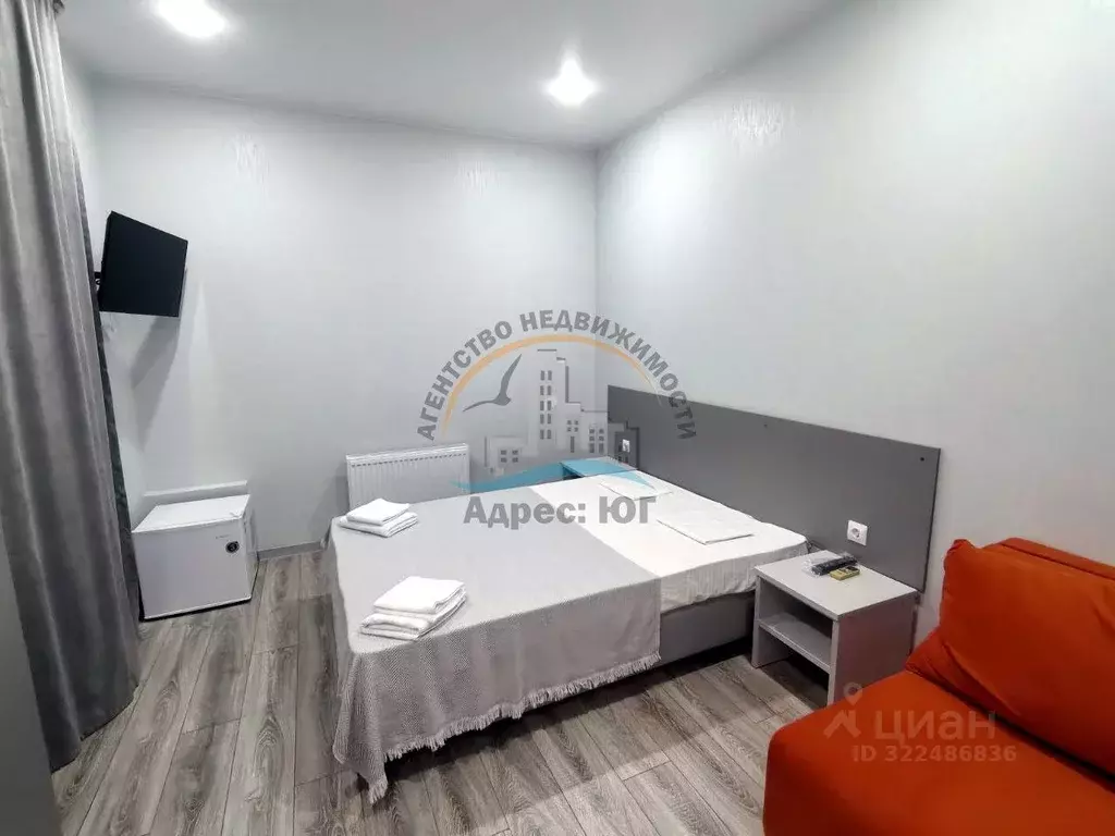 Студия Краснодарский край, Анапа муниципальный округ, с. Витязево пер. ... - Фото 2