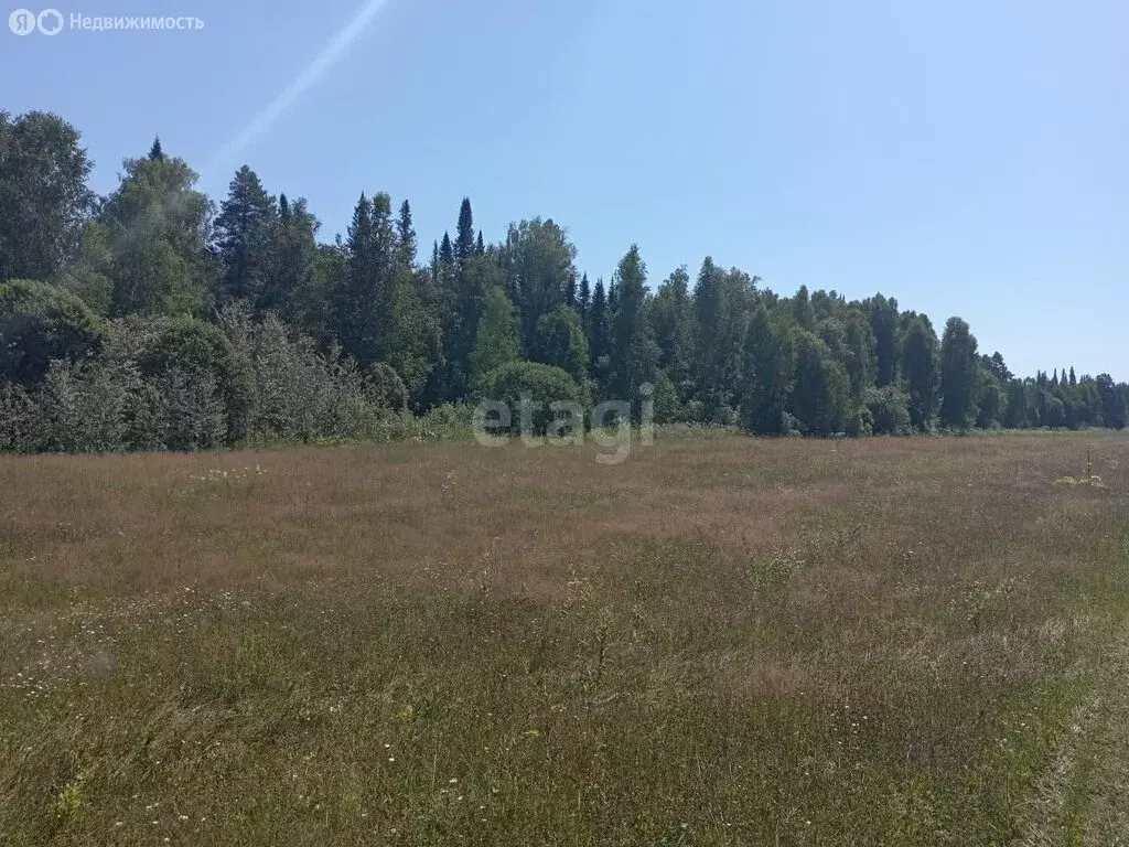 Участок в Турочакский район, село Турочак (13 м) - Фото 1