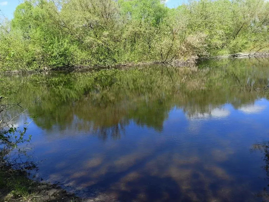 Дом в Курская область, Курский район, Лебяженский сельсовет, д. ... - Фото 1