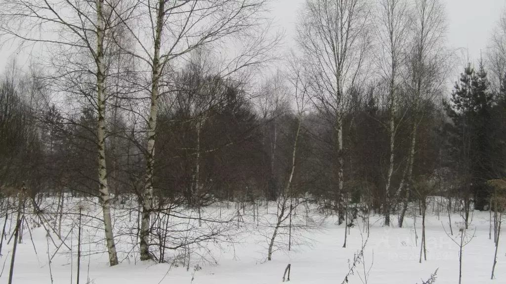 Участок в Московская область, Рузский муниципальный округ, д. Лобково  ... - Фото 1