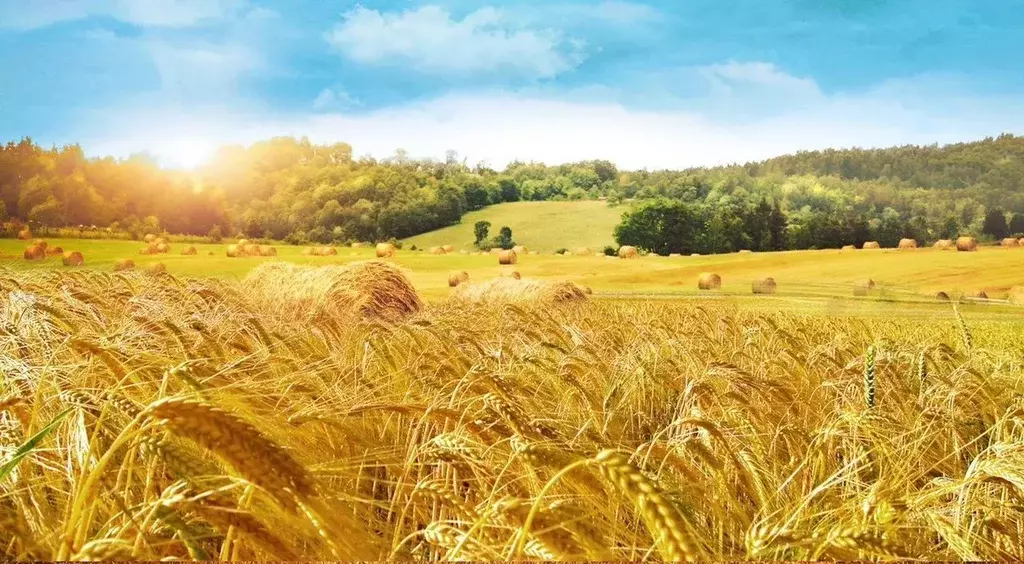 Участок в Калужская область, Ферзиковский муниципальный округ, ... - Фото 1