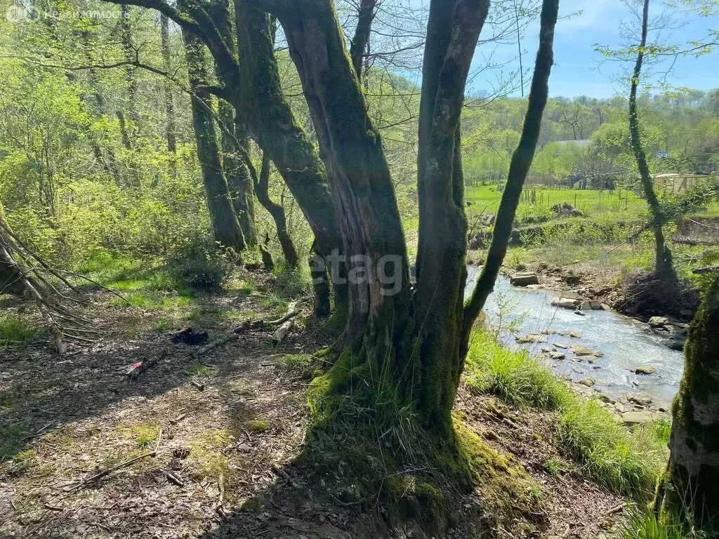 Участок в село Орёл-Изумруд, улица Лазурная Долина (36 м) - Фото 0