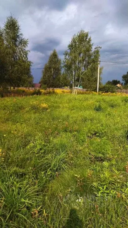 Участок в Тверская область, Калининский муниципальный округ, д. Новое ... - Фото 2