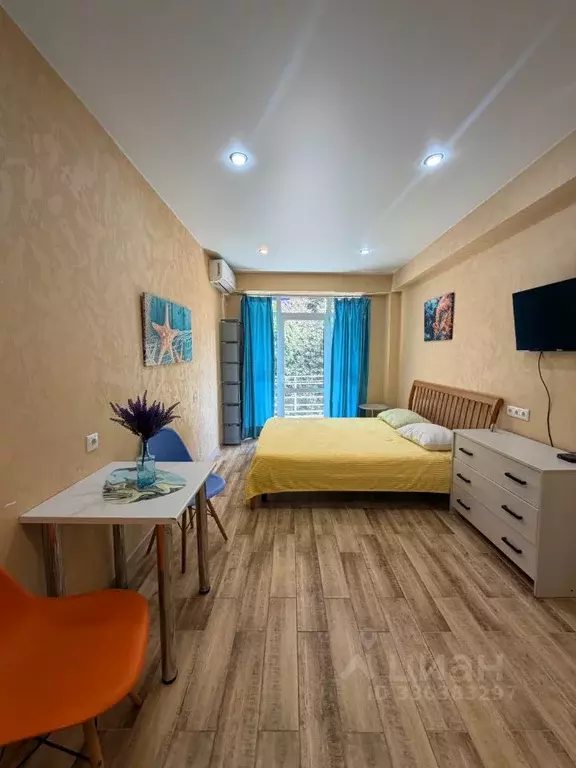 Студия Краснодарский край, Сочи Сухумское ш., 29Б (24.4 м) - Фото 1