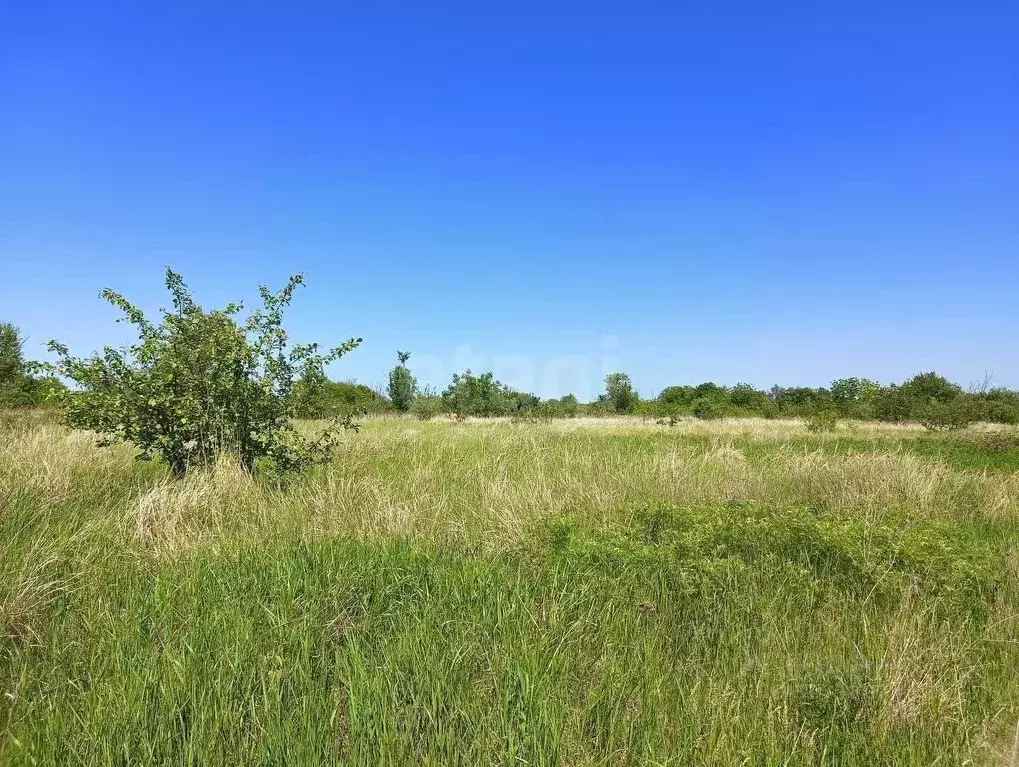 Участок в Краснодарский край, Ейск Виктория СНТ,  (5.0 сот.) - Фото 1