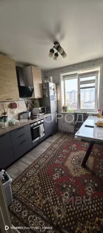 2-к кв. Новосибирская область, Новосибирск Пермская ул., 59 (50.6 м) - Фото 1