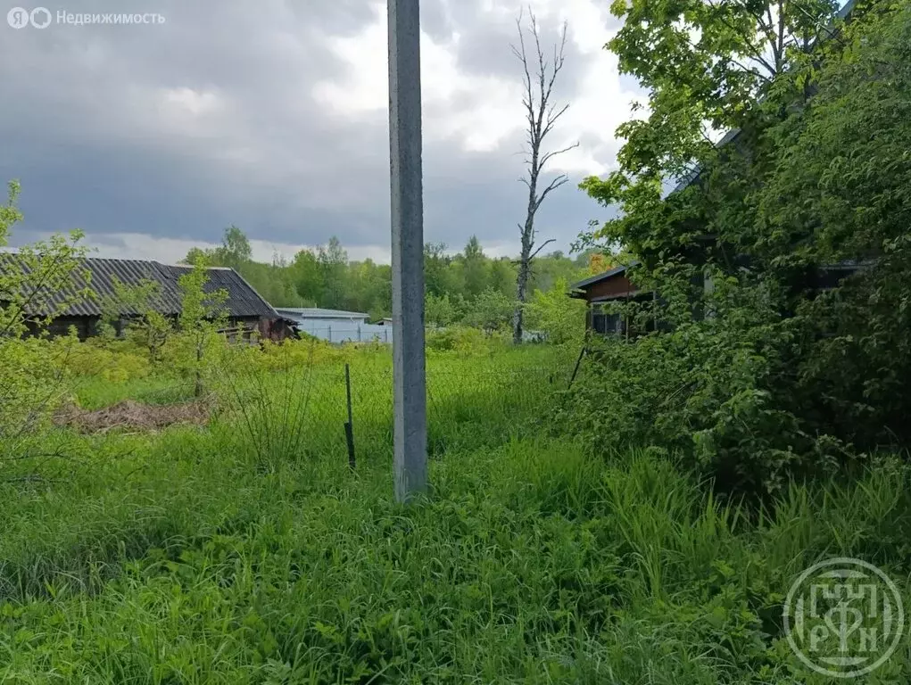 Дом в Красное Село, проспект Красных Командиров (36 м) - Фото 1