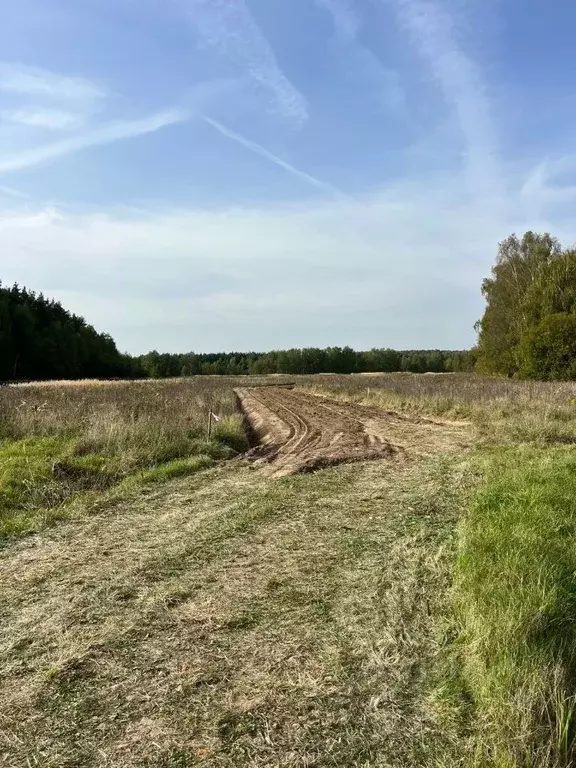 Участок в Московская область, Раменский муниципальный округ, Опушкино ... - Фото 2