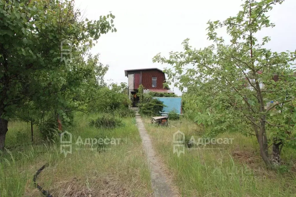 Дом в Волгоградская область, Волгоград Дзержинец СНТ, Винновский ... - Фото 0