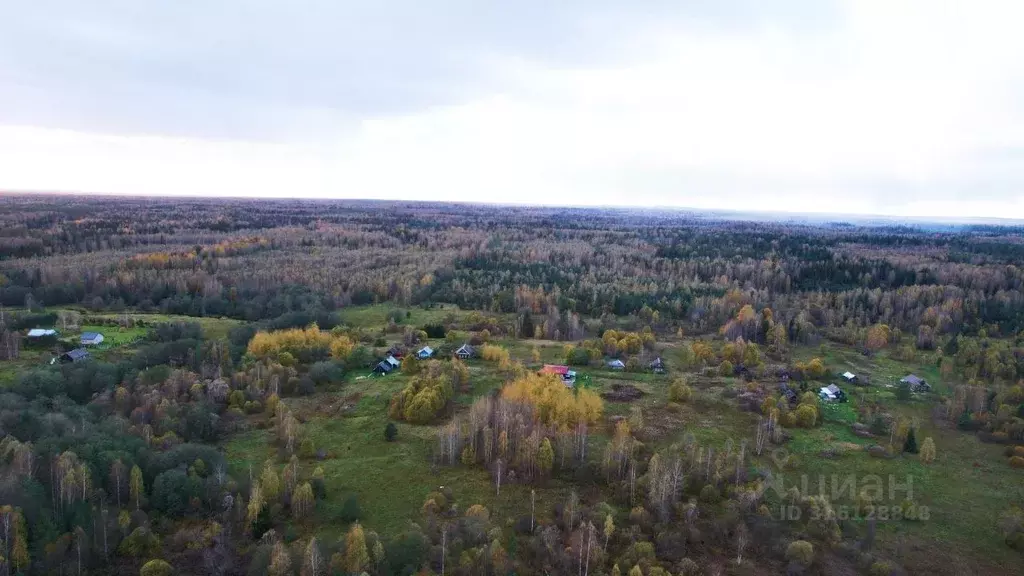 Участок в Тверская область, Селижаровский муниципальный округ, д. ... - Фото 1