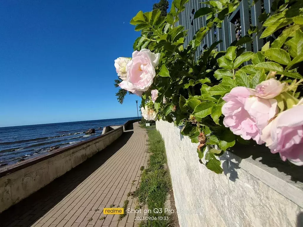 Участок в Ленинградская область, Выборгский район, Полянское с/пос, ... - Фото 1