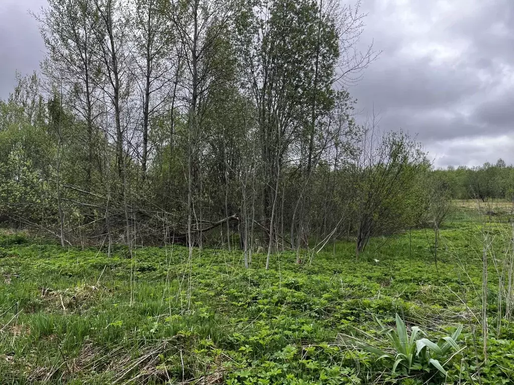 Участок в Московская область, Клин городской округ, д. Пупцево  (20.0 ... - Фото 1