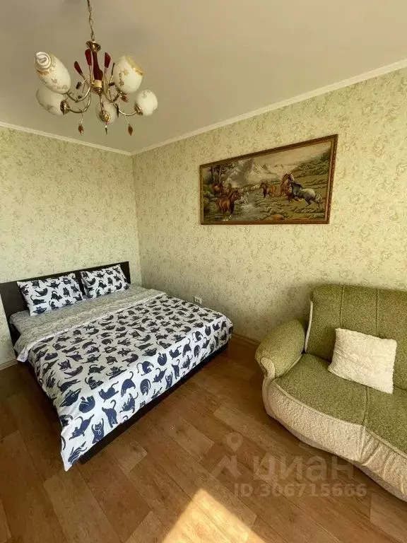 1-к кв. Владимирская область, Владимир ул. Мира, 15б (37.0 м) - Фото 1