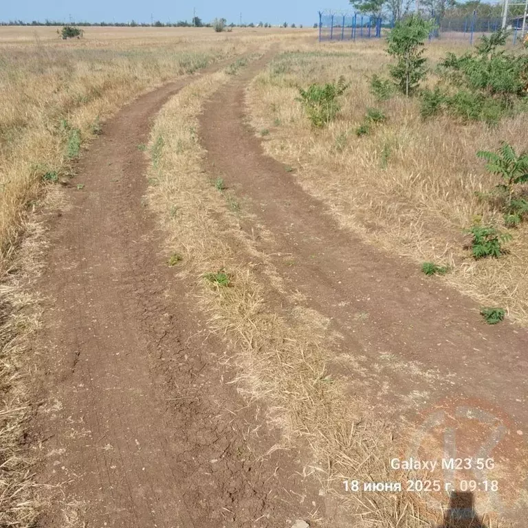 Участок в Крым, Черноморский район, с. Новоивановка  (6.24 сот.) - Фото 1