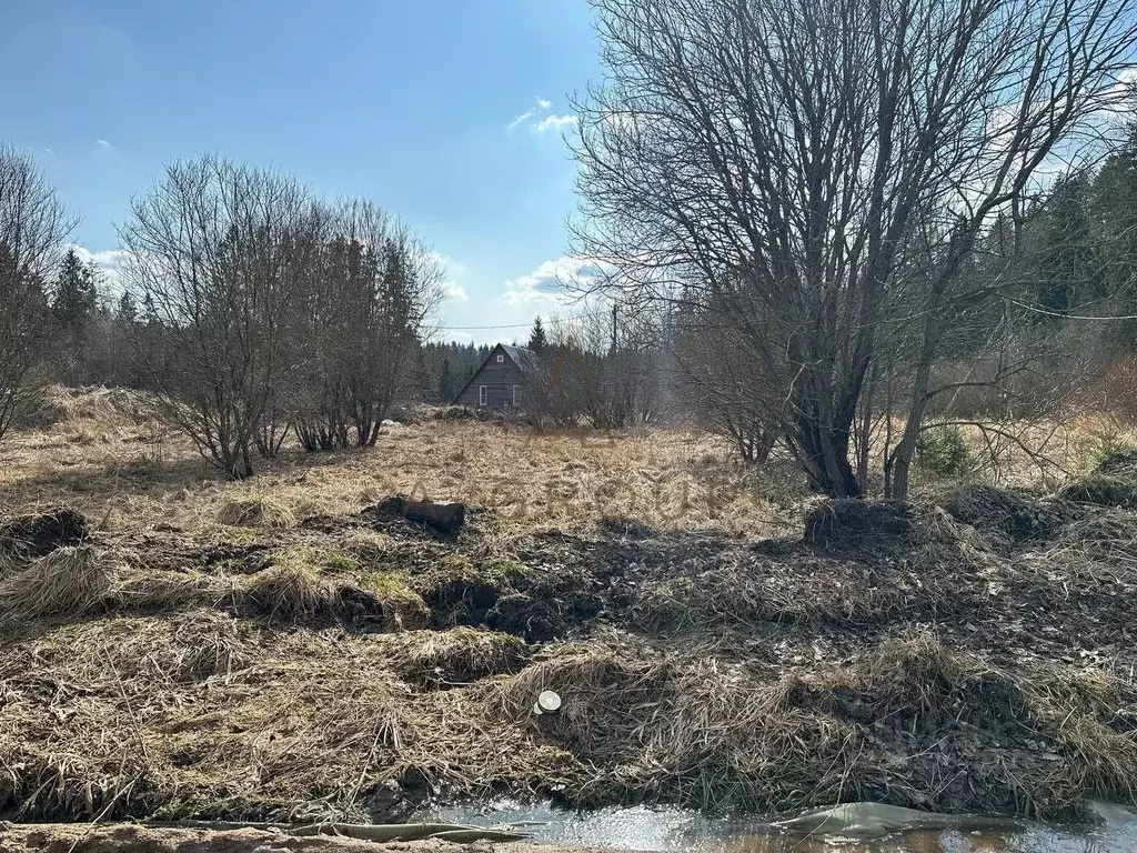 Участок в Ленинградская область, Выборгский район, Рощинское городское ... - Фото 0