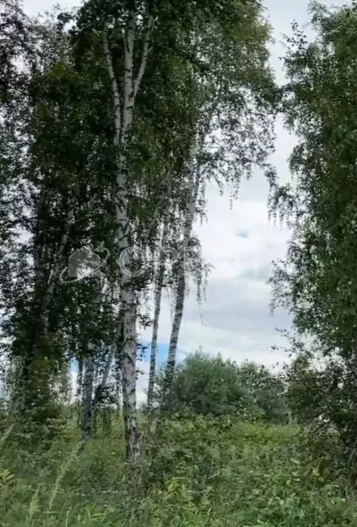 Участок в Тюменская область, Тюменский муниципальный округ, ... - Фото 2