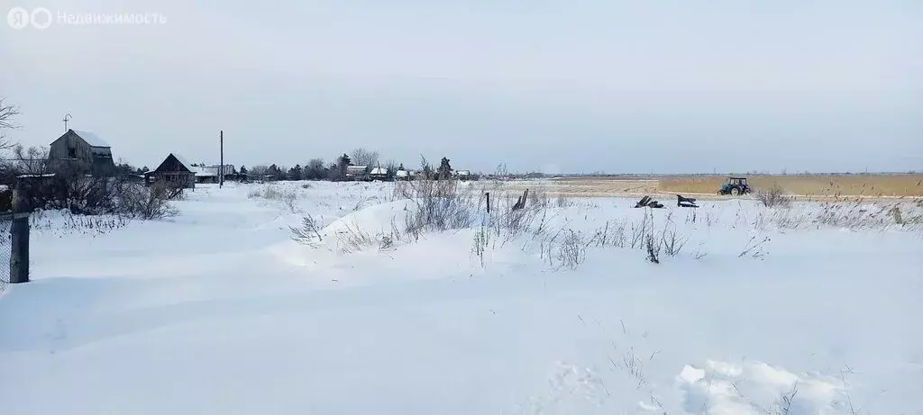 Участок в Курган, СНТ Боровое (7.5 м) - Фото 2