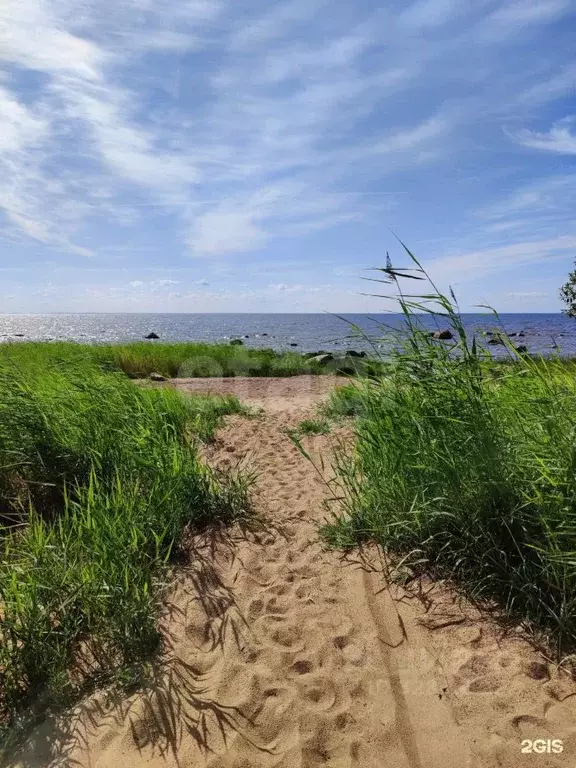 Участок в Санкт-Петербург пос. Молодежное,  (12.0 сот.) - Фото 2