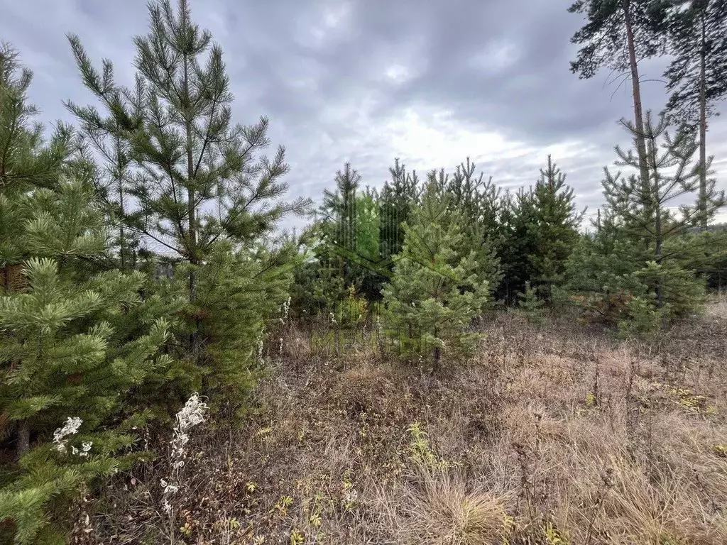 Участок в Бурятия, Улан-Удэ ул. Жасминовая (8.0 сот.) - Фото 2