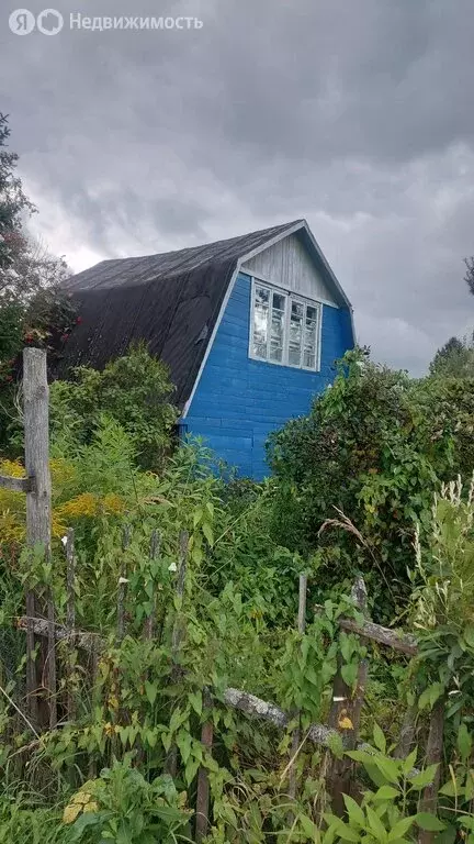 Дом в Ярославский муниципальный округ, СНОТ Рябинушка (30 м) - Фото 1