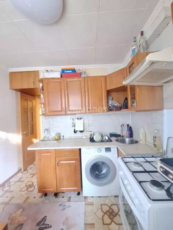 1-к кв. Московская область, Чехов муниципальный округ, д. Алексеевка, ... - Фото 1